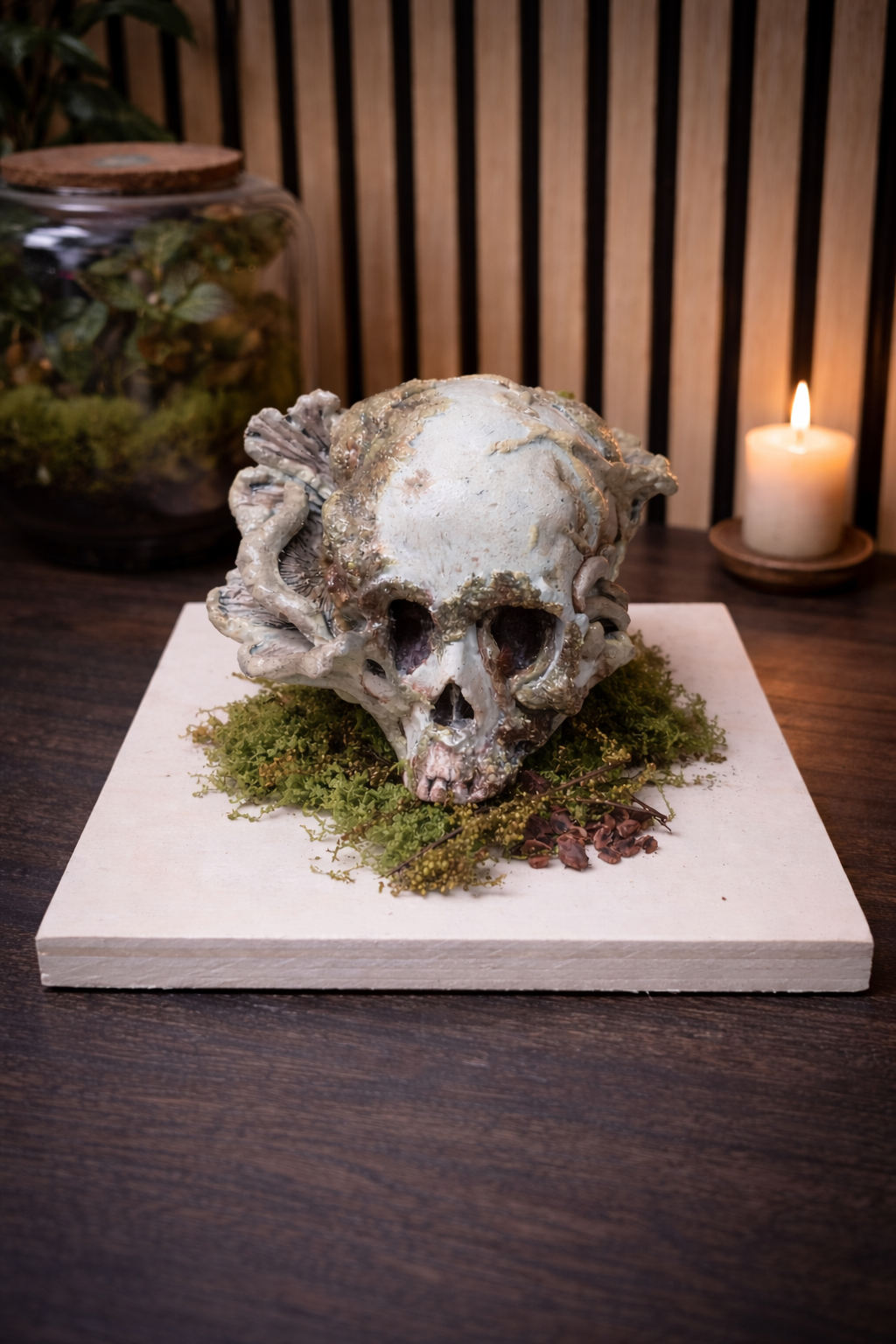 cordyceps skull specimen light weathered finish fungal infection display horror prop