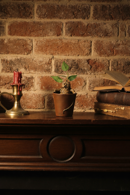 Rootling Mandrake Specimen — Potted Relic
